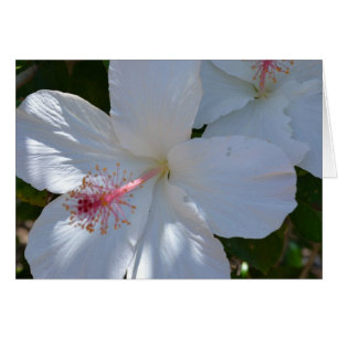 Blommigt Fragrance Note Card OBS Kort