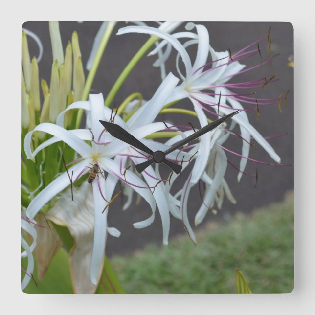 Blommigt Fragrance Wall Clock Fyrkantig Klocka (Framsida)