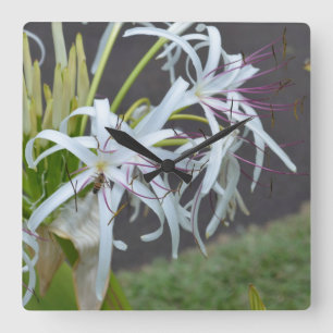 Blommigt Fragrance Wall Clock Fyrkantig Klocka