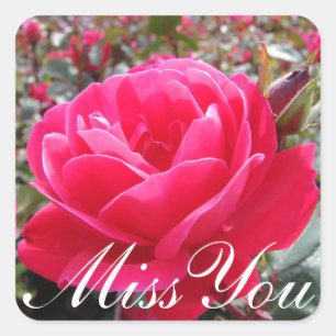 Blommigt fritar dig Rosa ros blomma Fyrkantigt Klistermärke
