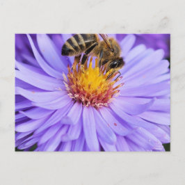 Blommigt Garden Park Peace Kärlek Vykort