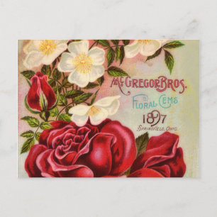 Blommigt Gem Ro Vintage Flower Catalog Cover Vykort