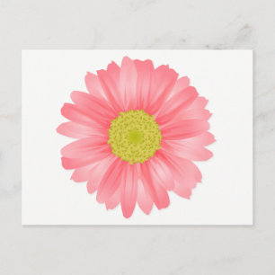 Blommigt Gerbera Daisy Rosa & Gult Flower Vykort
