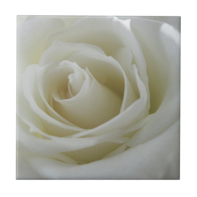 Blommigt glöd kakelplatta (Framsidan)