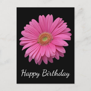 Blommigt Grattis på födelsedagen Rosa Gerbera Dais Vykort