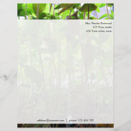 Blommigt Grönt Seedlings Photo Anpassningsbar Adre Brevhuvud