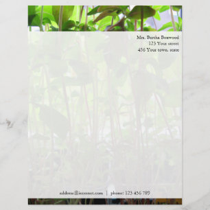 Blommigt Grönt Seedlings Photo Anpassningsbar Adre Brevhuvud