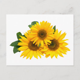 Blommigt Gult Solblommor Blommor - Hej, Kärlek Vykort
