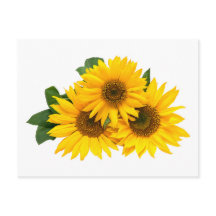 Blommigt Gult Solblommor Blommor - Hej, Kärlek