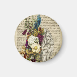 blommigt hjärnanatomi poster magnet