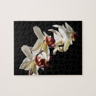 Blommigt Höjdpunkter på vita Phalaenopsis Orchids Pussel