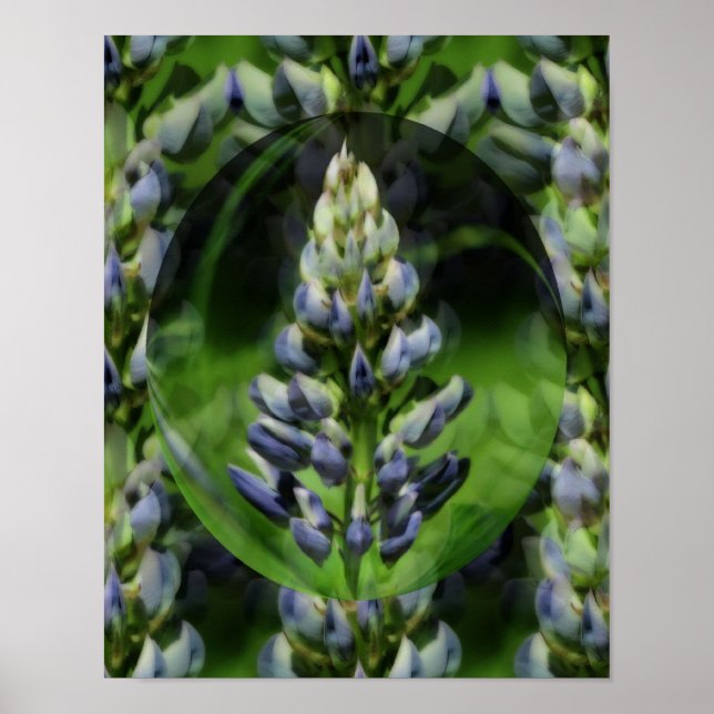 Blommigt i Lupine Abstrakt Art Poster (Framsidan)