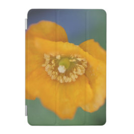 Blommigt iPad med diskett för orange iPad Mini Skydd