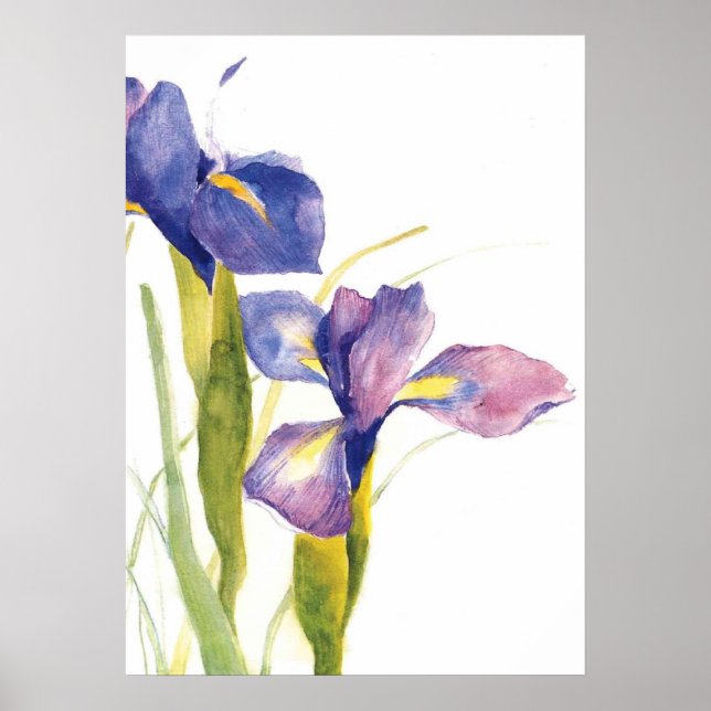 Blommigt Iris vattenfärg Poster (Framsidan)
