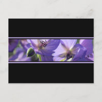 Blommigt Lila Black and White-vykort