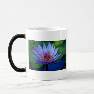 BLOMMIGT MAGISK MUGG