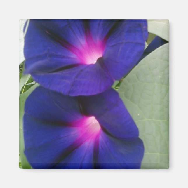 Blommigt Magnet for Fridge (Framsidan)