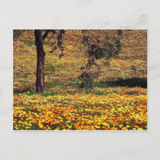 Blommigt Meadow Vykort