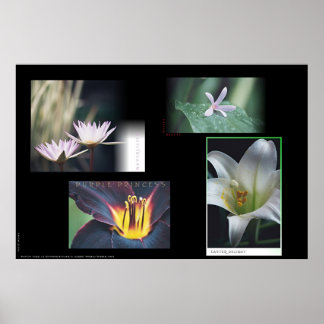 Blommigt Montage Poster