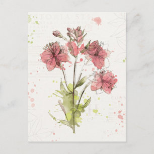 Blommigt Mörk Rosa Stänk Vykort