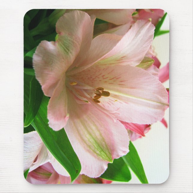 Blommigt Musmatta (Framsidan)