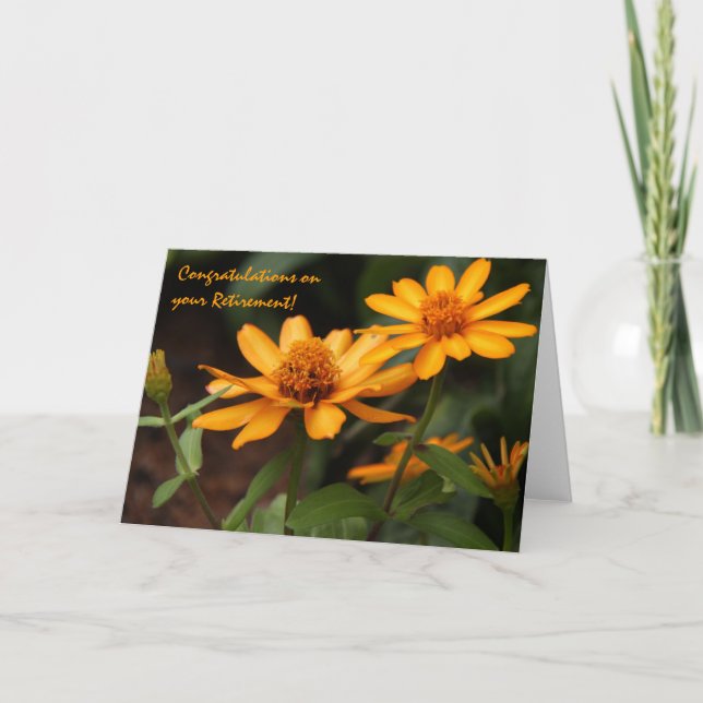 Blommigt nätt orange Zinnias, pensionkort Kort (Framsida)