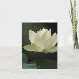 Blommigt Notecard för vitlotusblommablommar Kort