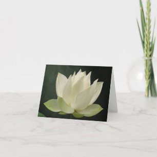 Blommigt Notecard för vitlotusblommablommar Kort