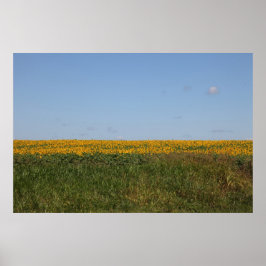 Blommigt oskärpa poster