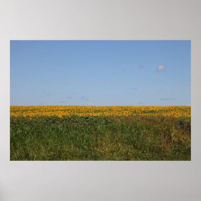 Blommigt oskärpa poster (Framsidan)