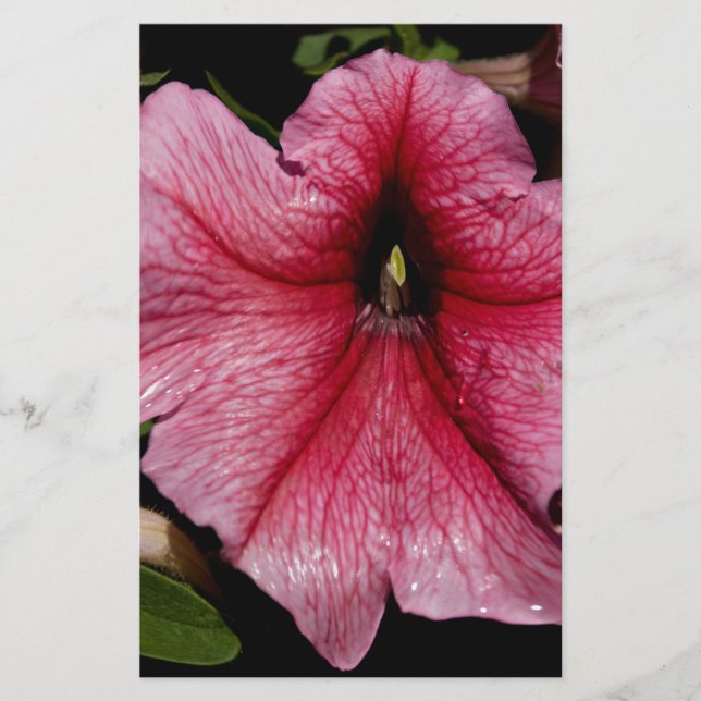 Blommigt Outburst Brevpapper (Framsida)