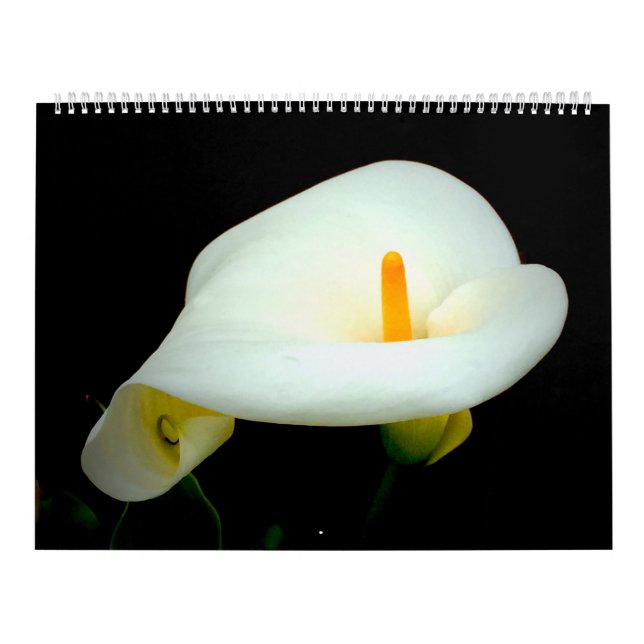 Blommigt på svart kalender (Omslag)