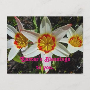 Blommigt Påsk Blessings Helg Vykort