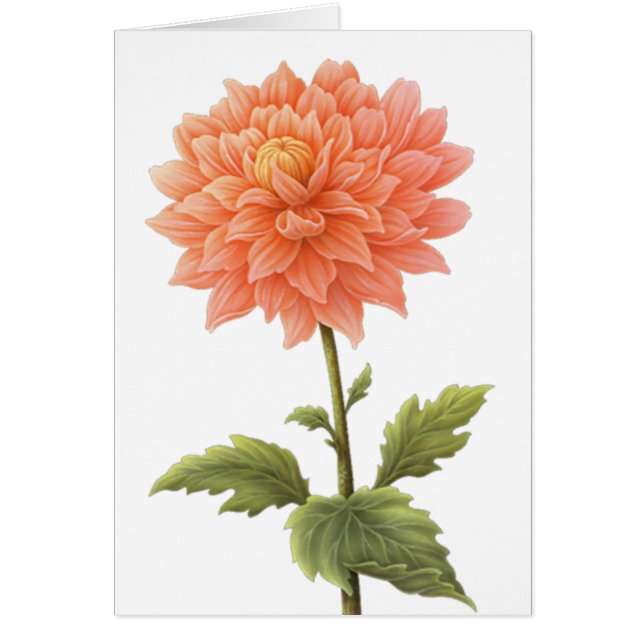 Blommigt Peach-Orangen Dahlia Flower-målning OBS Kort (Framsidan)