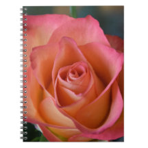 Blommigt Peach Rosa ros Journal eller bärbar dator