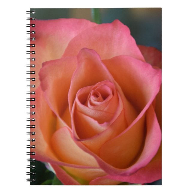Blommigt Peach Rosa ros Journal eller bärbar dator Anteckningsbok (Framsidan)