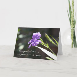 Blommigt Pension Card, Lila Bloom i solljus Kort