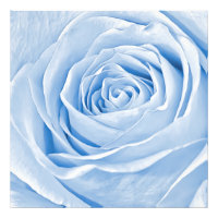 Blommigt Photo Daety Light Blue Ro