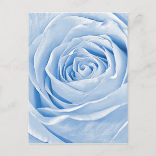 Blommigt Photo Daety Light Blue Ro Vykort