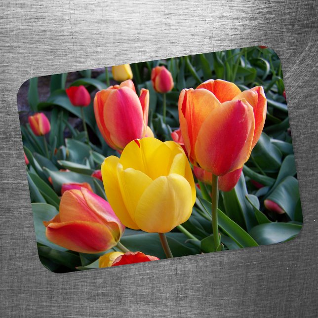 Blommigt Photo Magnet (Skapare uppladdad)
