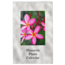 Blommigt Plumeria Tropical Flowers Photo
