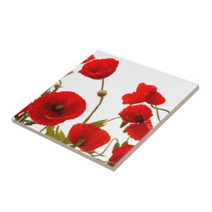 Blommigt Red Poppy Flowers White Background Colorf Kakelplatta