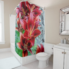 Blommigt Red Stargazer Lily Photography