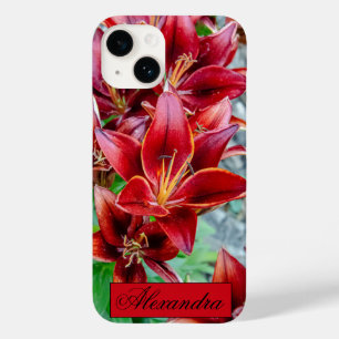 Blommigt Red Stargazer Lily Photography