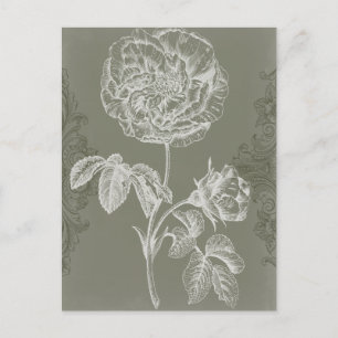 Blommigt Relief I Vykort