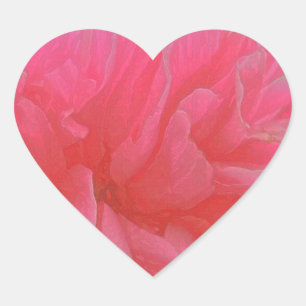 Blommigt Rhapsody i Magenta och rött Hjärtformat Klistermärke