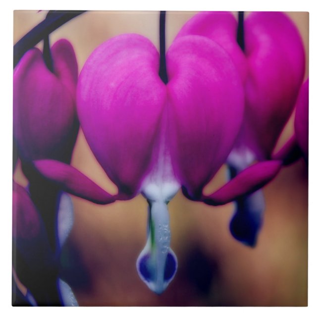 Blommigt Rosa Blödningshjärtor Kakelplatta (Framsidan)