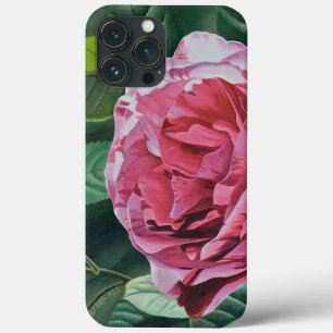 Blommigt Rosa Peony