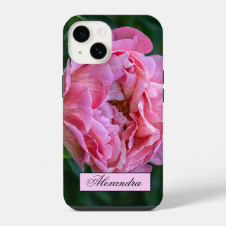 Blommigt Rosa Peony Photography