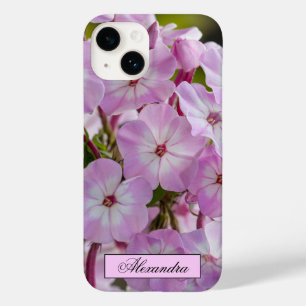 Blommigt Rosa Phlox-foto